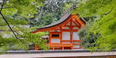 出雲大神宮の本殿・本堂