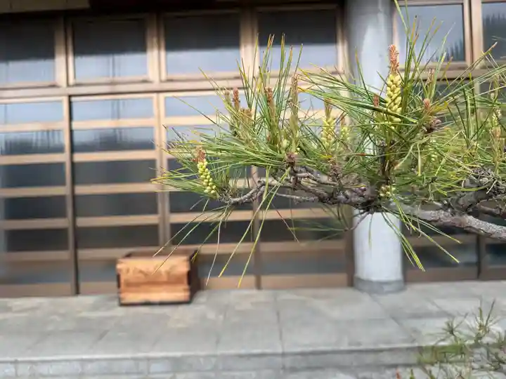 西方山極楽寺(岐阜県)