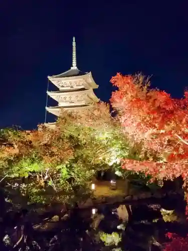東寺（教王護国寺）(京都府)