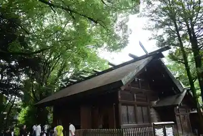 洲崎大神(神奈川県)