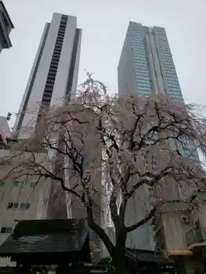 常圓寺(東京都)