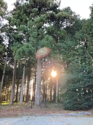 七社神社(静岡県)