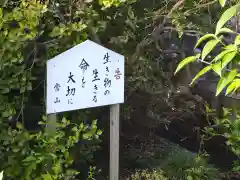 観音寺の建物その他