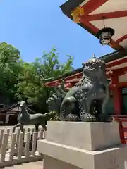 西宮神社の狛犬