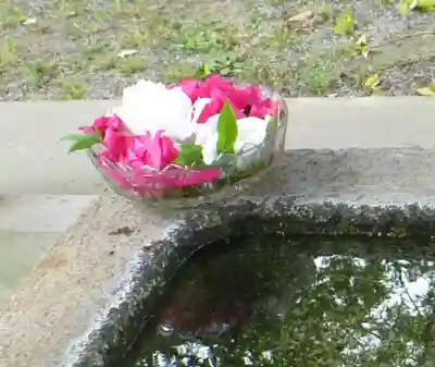 天疫神社(福岡県)