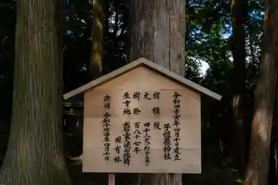 子檀嶺神社(長野県)