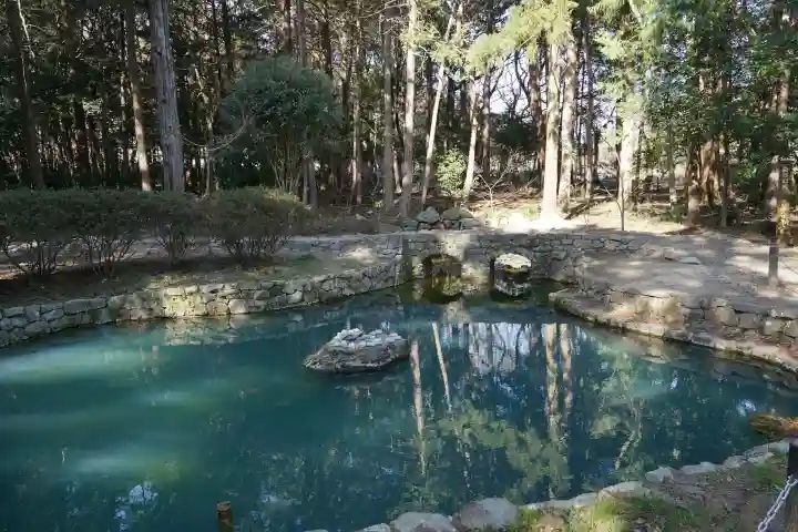 大麻比古神社の{uncategorized: "未分類", other: "その他", undefined: "問題あり", building: "その他建物", grave: "お墓", sacred_gate: "鳥居", guardian: "狛犬", statue: "像", buddha: "仏像", history: "歴史", nature: "自然", garden: "庭園", animal: "動物", pagoda: "塔", temizu: "手水舎", mountain_gate: "山門・神門", sanctuary: "本殿・本堂", subordinate: "末社・摂社", art: "芸術", scenery: "景色", jizo: "地蔵", ema: "絵馬", goshuin: "御朱印", omikuji: "おみくじ", items: "授与品その他", amulet: "お守り", goshuincho: "御朱印帳", eats: "食事", festival: "お祭り", votive_dance: "神楽", shichigosan: "七五三参", wedding: "結婚式", experience: "体験その他", initially: "初詣", around: "周辺", anti_infection: "感染症対策"}