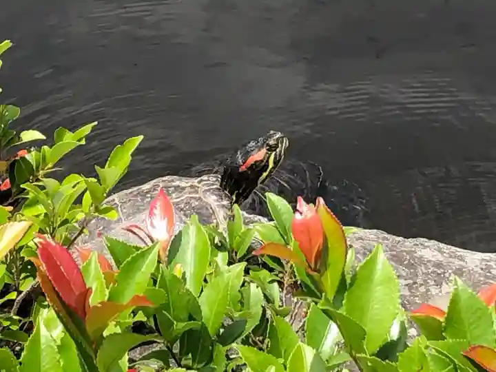 根津神社(東京都)