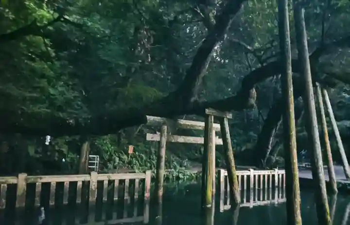 鹿島神宮(茨城県)