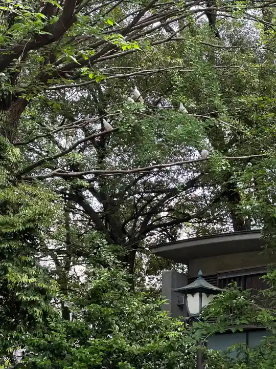 靖國神社(東京都)