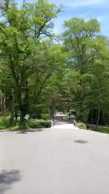 戸隠神社奥社(長野県)