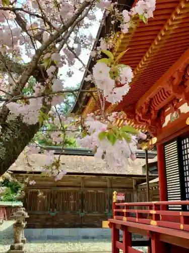 志波彦神社・鹽竈神社の{uncategorized: "未分類", other: "その他", undefined: "問題あり", building: "その他建物", grave: "お墓", sacred_gate: "鳥居", guardian: "狛犬", statue: "像", buddha: "仏像", history: "歴史", nature: "自然", garden: "庭園", animal: "動物", pagoda: "塔", temizu: "手水舎", mountain_gate: "山門・神門", sanctuary: "本殿・本堂", subordinate: "末社・摂社", art: "芸術", scenery: "景色", jizo: "地蔵", ema: "絵馬", goshuin: "御朱印", omikuji: "おみくじ", items: "授与品その他", amulet: "お守り", goshuincho: "御朱印帳", eats: "食事", festival: "お祭り", votive_dance: "神楽", shichigosan: "七五三参", wedding: "結婚式", experience: "体験その他", initially: "初詣", around: "周辺", anti_infection: "感染症対策"}