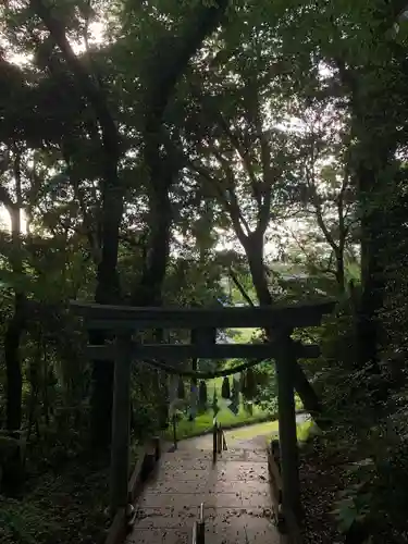 白幡神社の鳥居