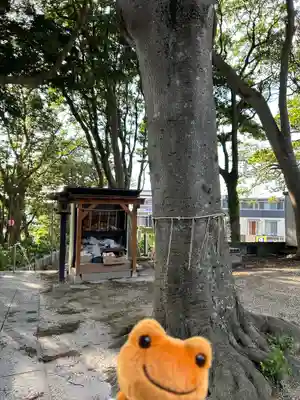 堀出神社(茨城県)