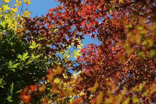 国宝 大法寺の自然