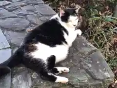 王子神社の動物