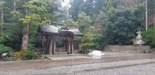 彌彦神社の手水舎