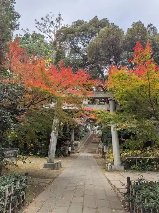 赤坂氷川神社(東京都)