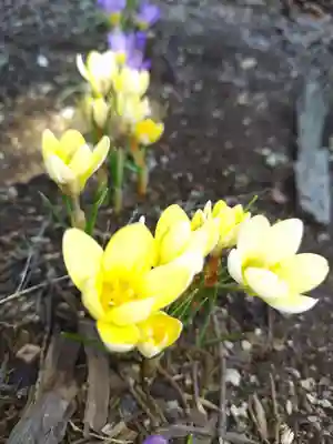 厚別神社(北海道)