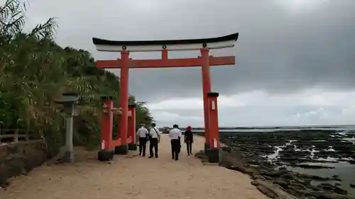 青島神社（青島神宮）の鳥居