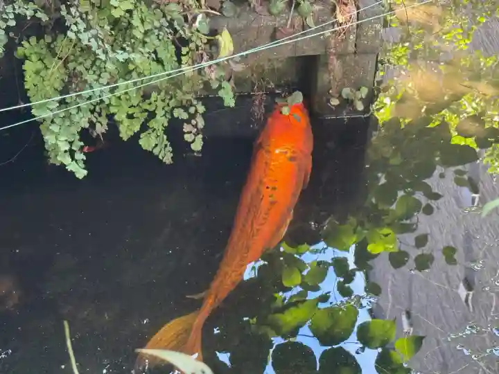 厳島神社(港町弁財天)(千葉県)