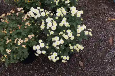 高麗神社のその他建物