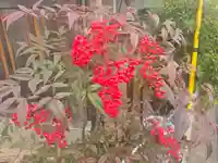 了峰禪寺(了峰寺)(京都府)