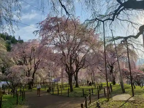 清雲寺(埼玉県)