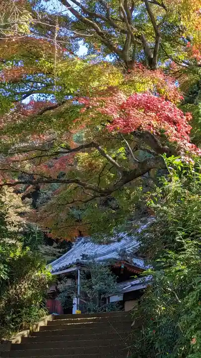 尊勝院(京都府)
