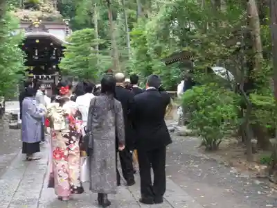 鶴岡八幡宮(神奈川県)