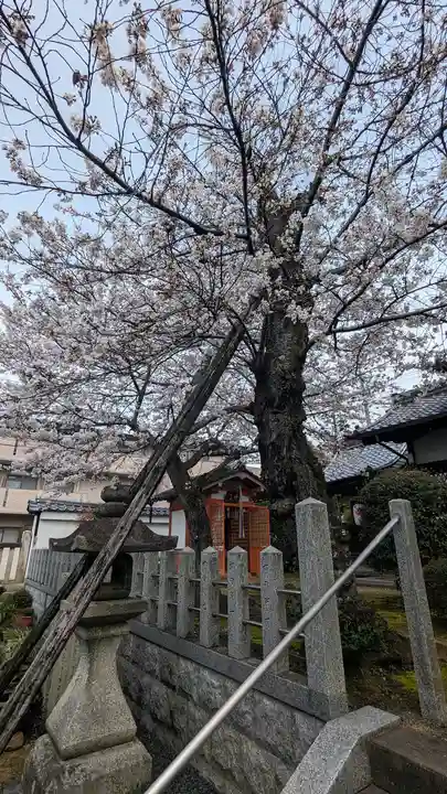 吒枳尼天(法伝寺)(京都府)