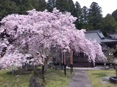 大聖院(京都府)