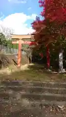 塙田八幡宮の鳥居