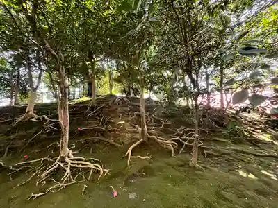 城南宮(京都府)