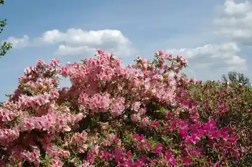 五大尊堂(長徳寺)の自然