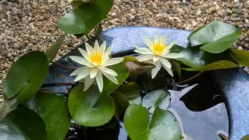 勝林寺(京都府)