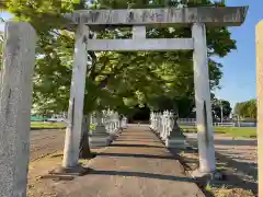 三明神社の鳥居