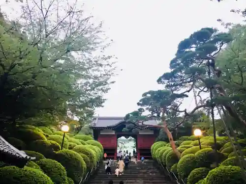 護国寺の山門