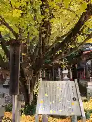 秩父神社の歴史