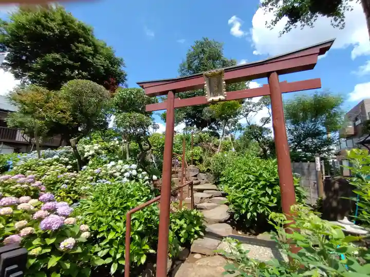 白山神社(東京都)
