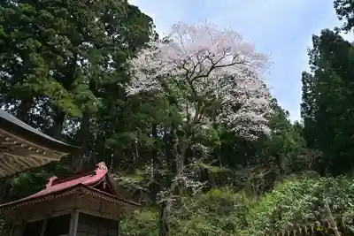 風巻神社(新潟県)
