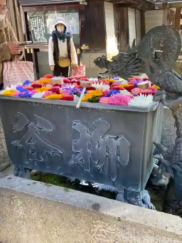 柳谷観音　楊谷寺の手水舎