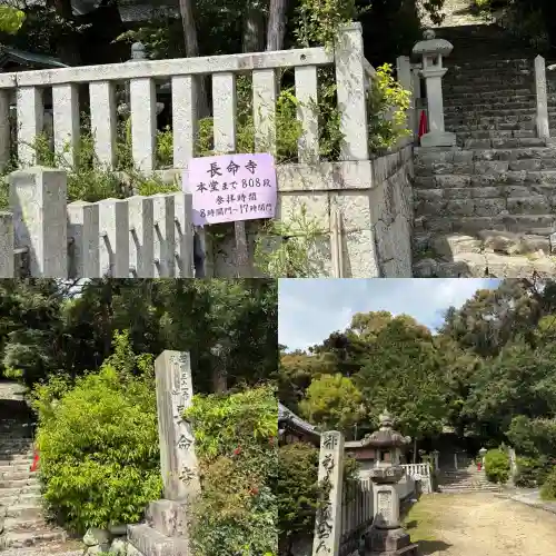 長命寺の{uncategorized: "未分類", other: "その他", undefined: "問題あり", building: "その他建物", grave: "お墓", sacred_gate: "鳥居", guardian: "狛犬", statue: "像", buddha: "仏像", history: "歴史", nature: "自然", garden: "庭園", animal: "動物", pagoda: "塔", temizu: "手水舎", mountain_gate: "山門・神門", sanctuary: "本殿・本堂", subordinate: "末社・摂社", art: "芸術", scenery: "景色", jizo: "地蔵", ema: "絵馬", goshuin: "御朱印", omikuji: "おみくじ", items: "授与品その他", amulet: "お守り", goshuincho: "御朱印帳", eats: "食事", festival: "お祭り", votive_dance: "神楽", shichigosan: "七五三参", wedding: "結婚式", experience: "体験その他", initially: "初詣", around: "周辺", anti_infection: "感染症対策"}