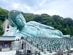 南蔵院(福岡県)