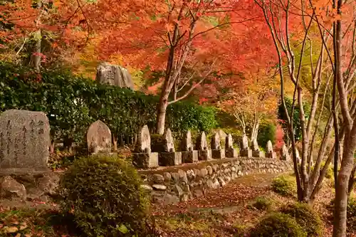 金剛寺(高知県)