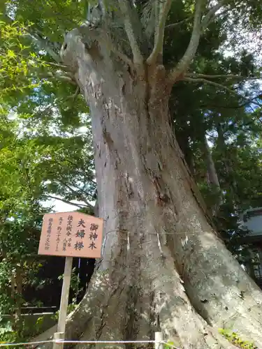 鹿島御子神社(福島県)