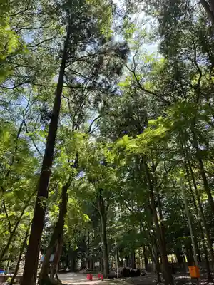 小御門神社(千葉県)