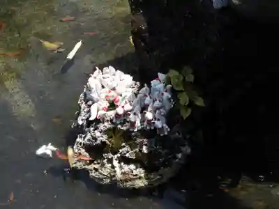 神徳稲荷神社(鹿児島県)