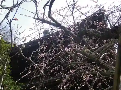 瑞泉寺のその他建物