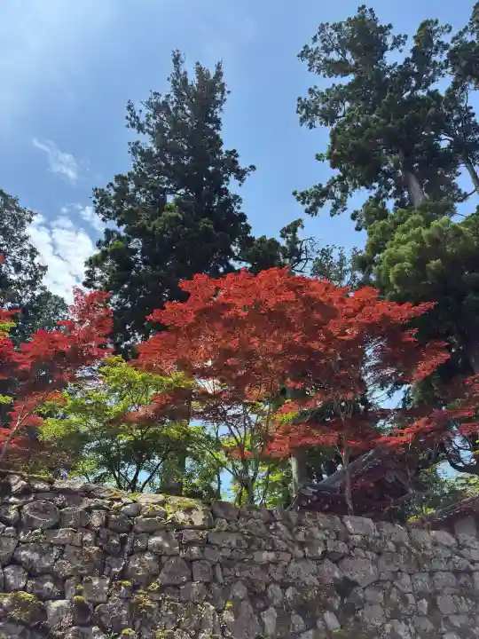 延暦寺 根本中堂(滋賀県)